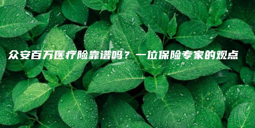 众安百万医疗险靠谱吗？一位保险专家的观点-PLB