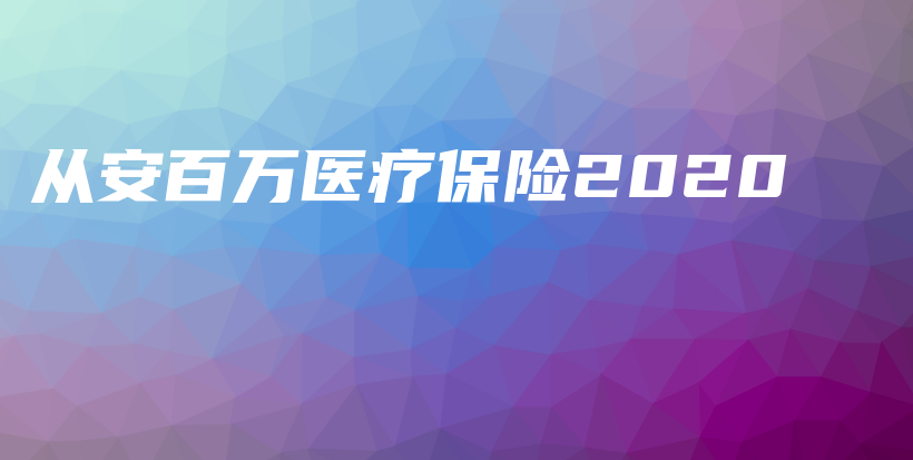 从安百万医疗保险2020-PLB