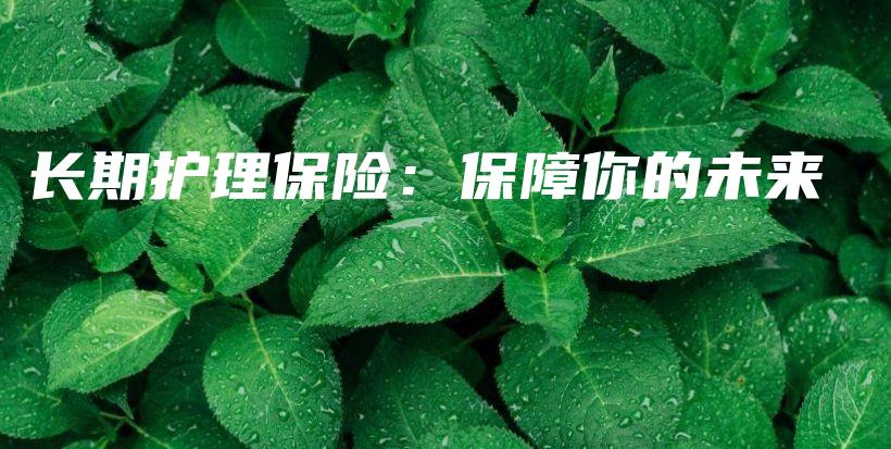 长期护理保险：保障你的未来-PLB