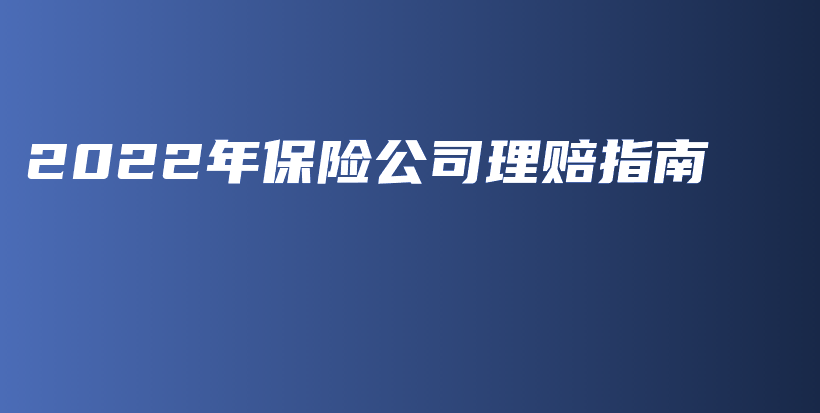 2022年保险公司理赔指南-PLB