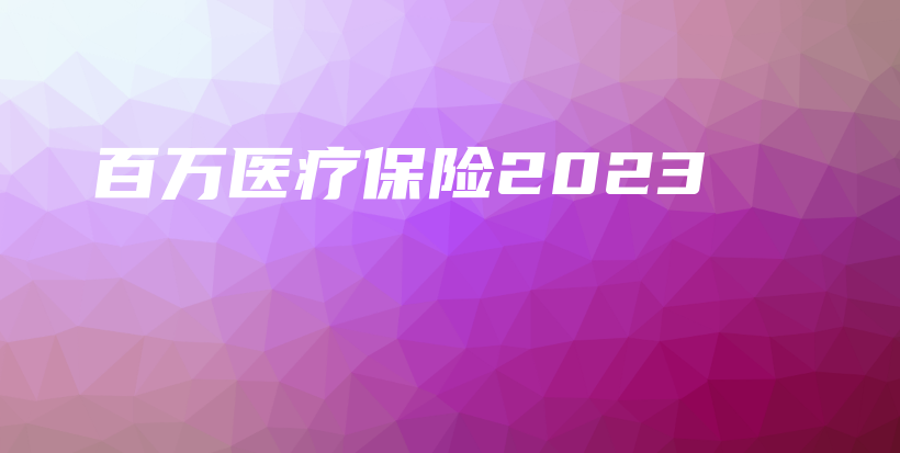 百万医疗保险2023-PLB