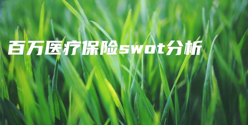 百万医疗保险swot分析-PLB