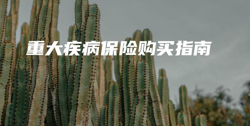 重大疾病保险购买指南-PLB