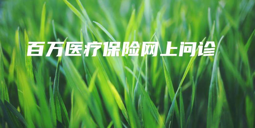 百万医疗保险网上问诊-PLB