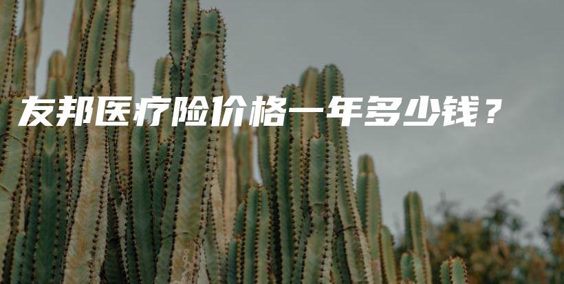 友邦医疗险价格一年多少钱？-PLB