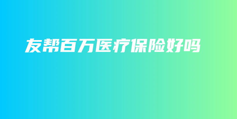 友帮百万医疗保险好吗-PLB