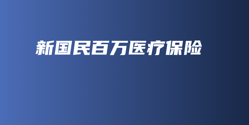 新国民百万医疗保险-PLB