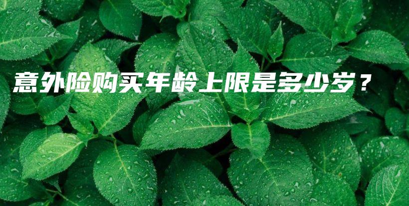 意外险购买年龄上限是多少岁？-PLB