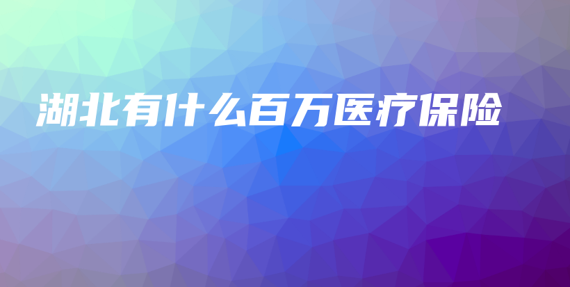 湖北有什么百万医疗保险-PLB