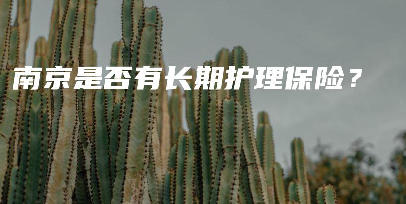 南京是否有长期护理保险？-PLB