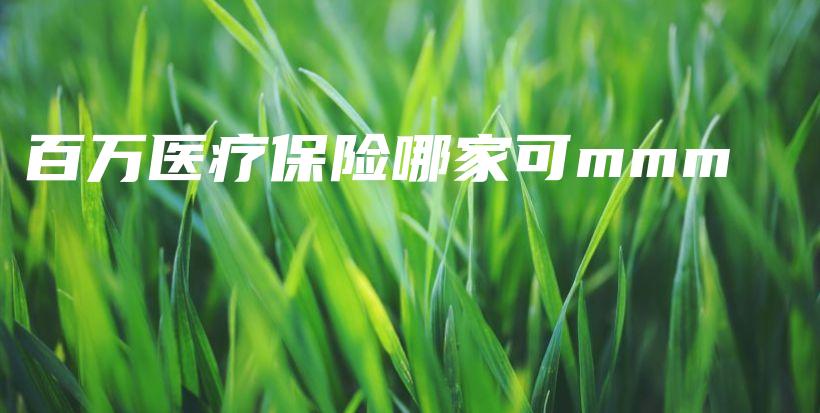 百万医疗保险哪家可mmm-PLB