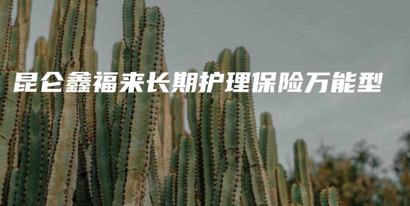 昆仑鑫福来长期护理保险万能型-PLB