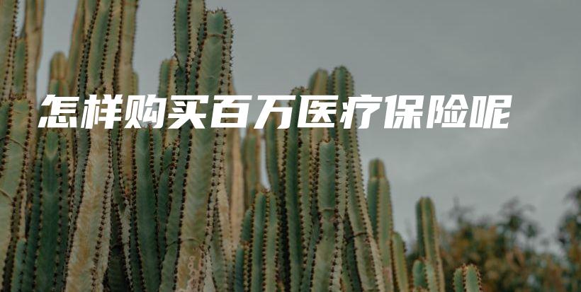 怎样购买百万医疗保险呢-PLB