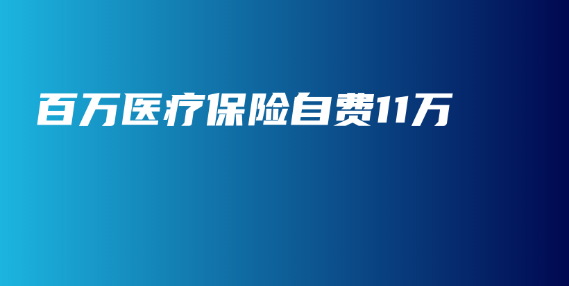 百万医疗保险自费11万-PLB