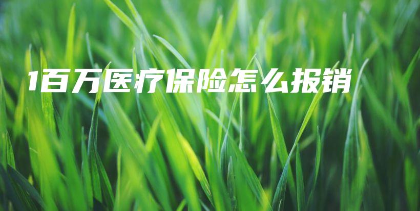 1百万医疗保险怎么报销-PLB