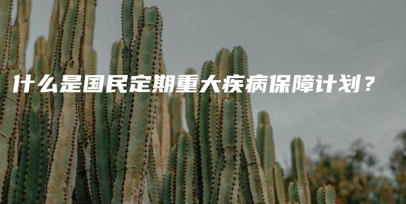 什么是国民定期重大疾病保障计划？-PLB