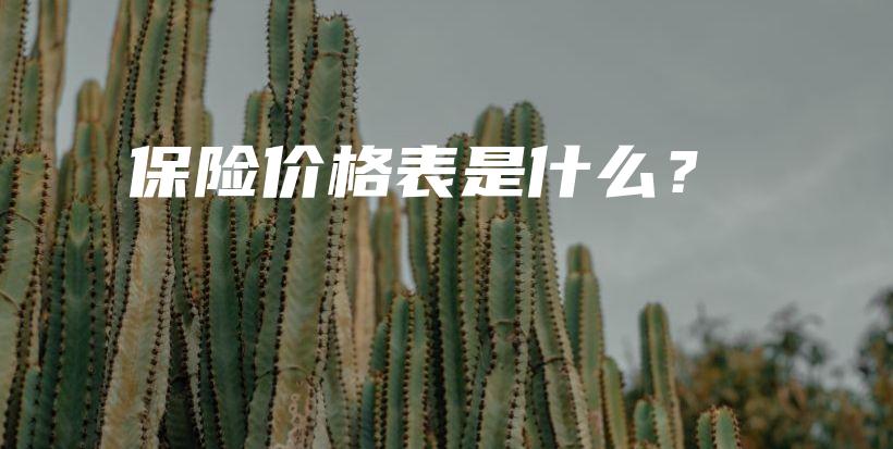 保险价格表是什么？-PLB