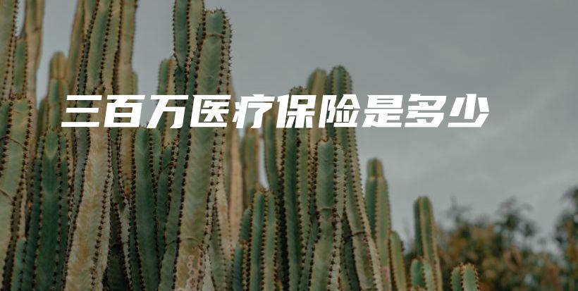 三百万医疗保险是多少-PLB