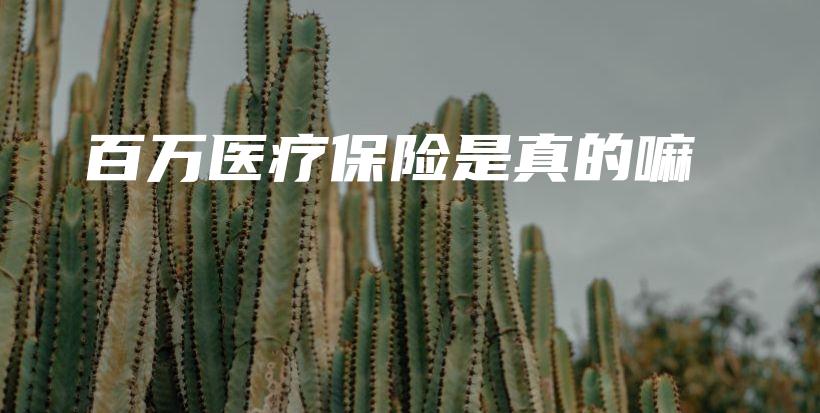 百万医疗保险是真的嘛-PLB