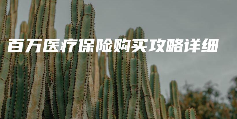 百万医疗保险购买攻略详细-PLB