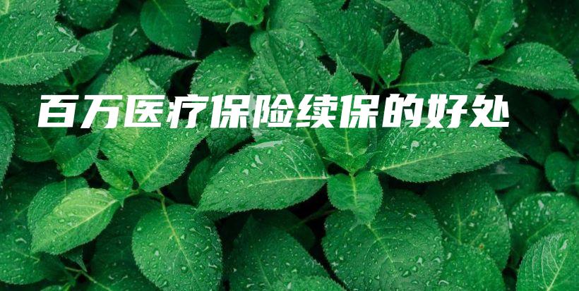 百万医疗保险续保的好处-PLB