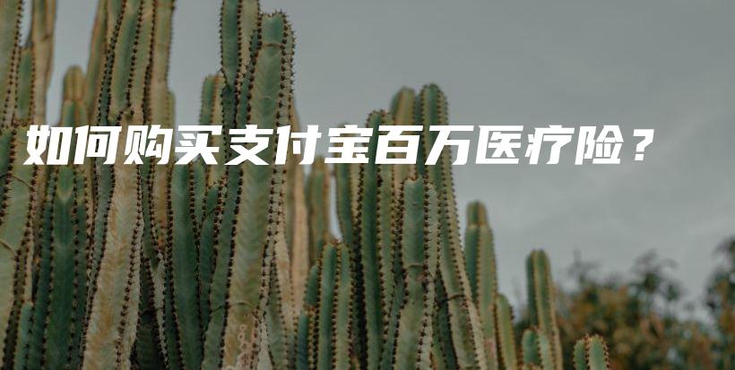 如何购买支付宝百万医疗险？-PLB