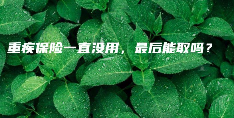 重疾保险一直没用，最后能取吗？-PLB