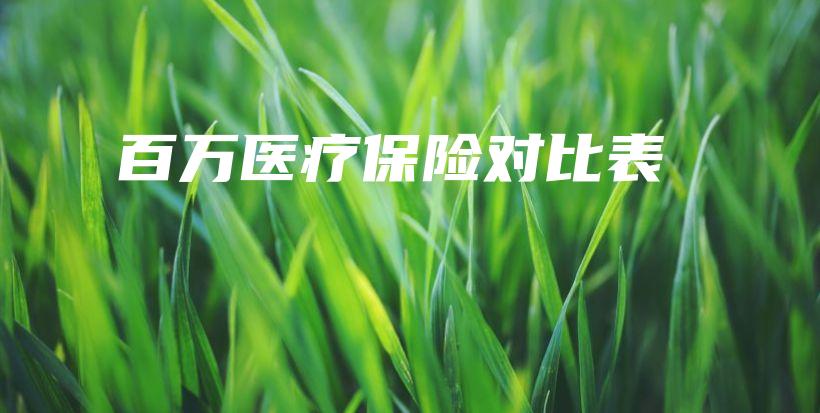 百万医疗保险对比表-PLB