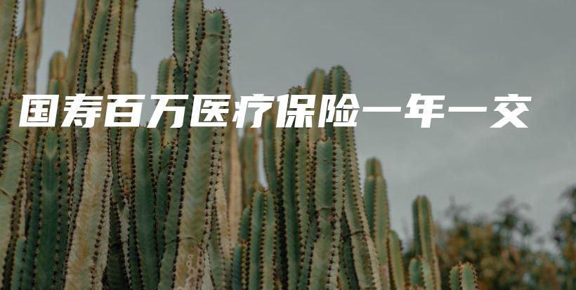 国寿百万医疗保险一年一交-PLB