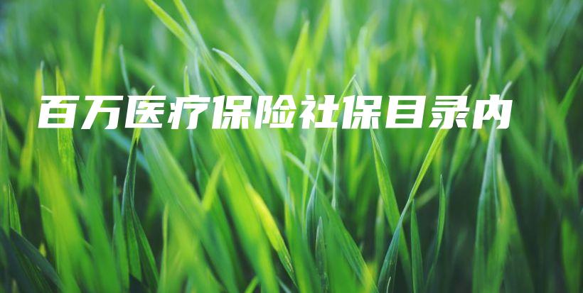 百万医疗保险社保目录内-PLB