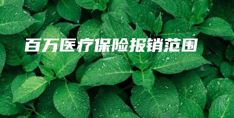 百万医疗保险报销范围-PLB