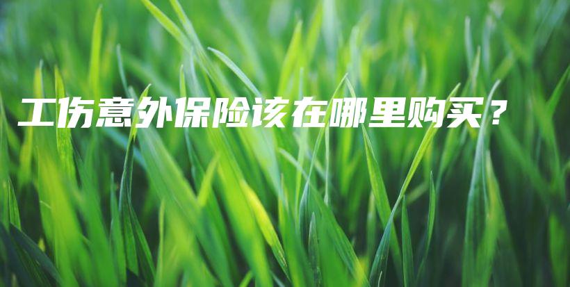 工伤意外保险该在哪里购买？-PLB