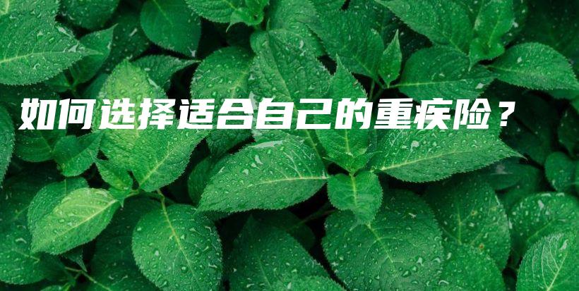 如何选择适合自己的重疾险？-PLB