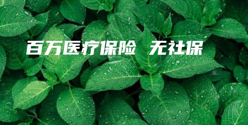 百万医疗保险 无社保-PLB