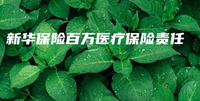 新华保险百万医疗保险责任-PLB