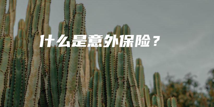 什么是意外保险？-PLB