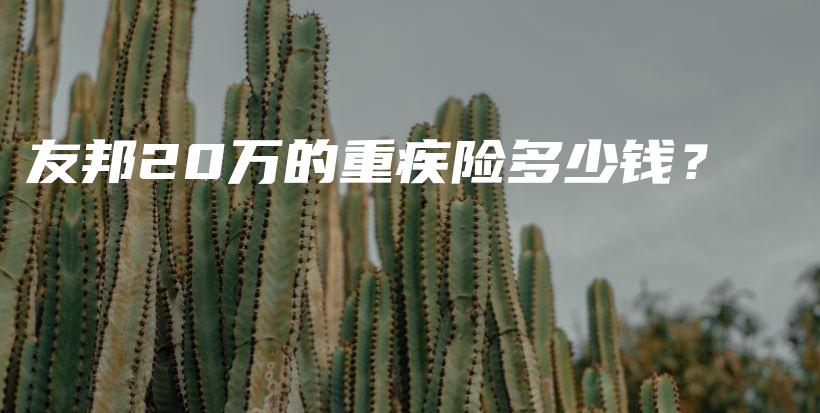 友邦20万的重疾险多少钱？-PLB