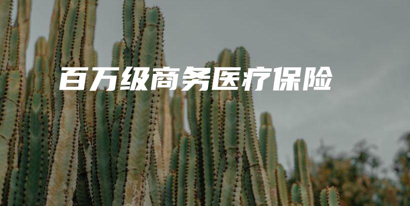 百万级商务医疗保险-PLB