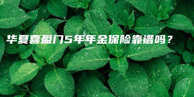 华夏喜盈门5年年金保险靠谱吗？-PLB