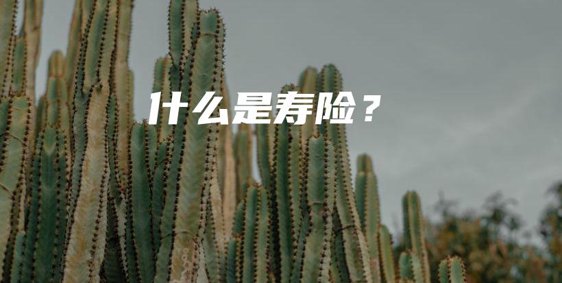 什么是寿险？-PLB