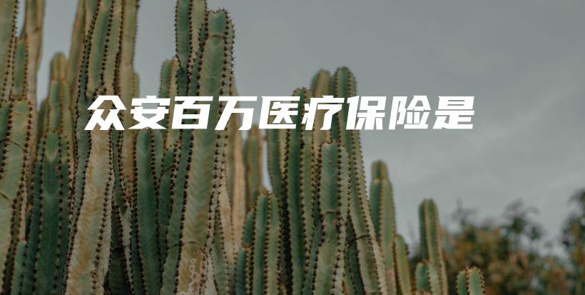 众安百万医疗保险是-PLB