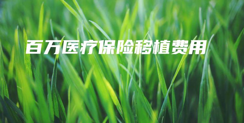 百万医疗保险移植费用-PLB