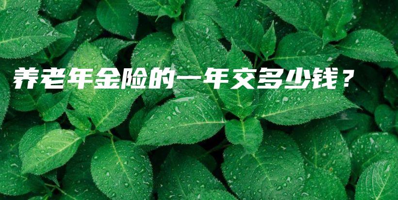 养老年金险的一年交多少钱？-PLB